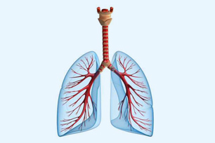 COPD COPD